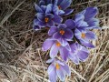 IMG_20210425_135059