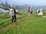 Nordic Walking