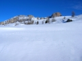 DSCN2464