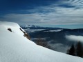 IMG_20210202_102430
