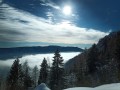 IMG_20210202_102438