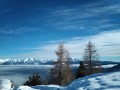 IMG_20210202_102911