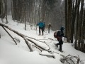 IMG_20210314_110823