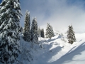 Neve appena caduta