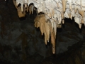 Concrezioni stalattiti