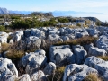 Campi solcati