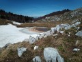 IMG_20210509_114433